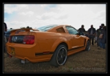 Mustang Boss 2006  - 2